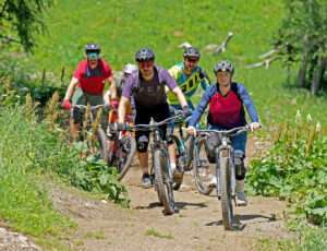 Eine Gruppe von Menschen sitzt auf Mountainbikes und fahren einen Bike-Trail hinab.